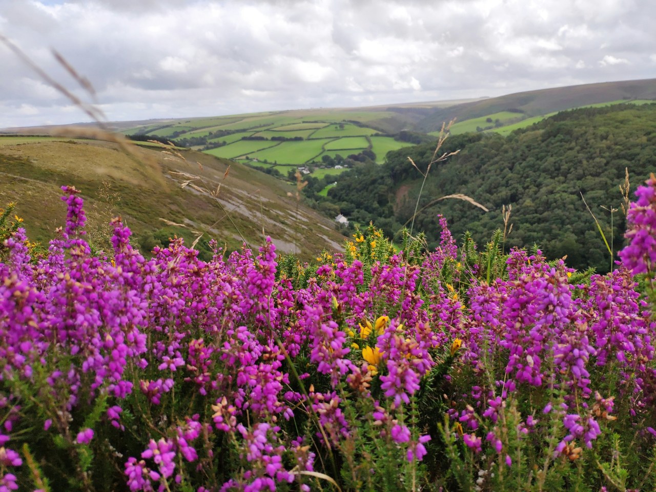 The colourful rolling hills of Exmoor (Ben Way/Unsplash)