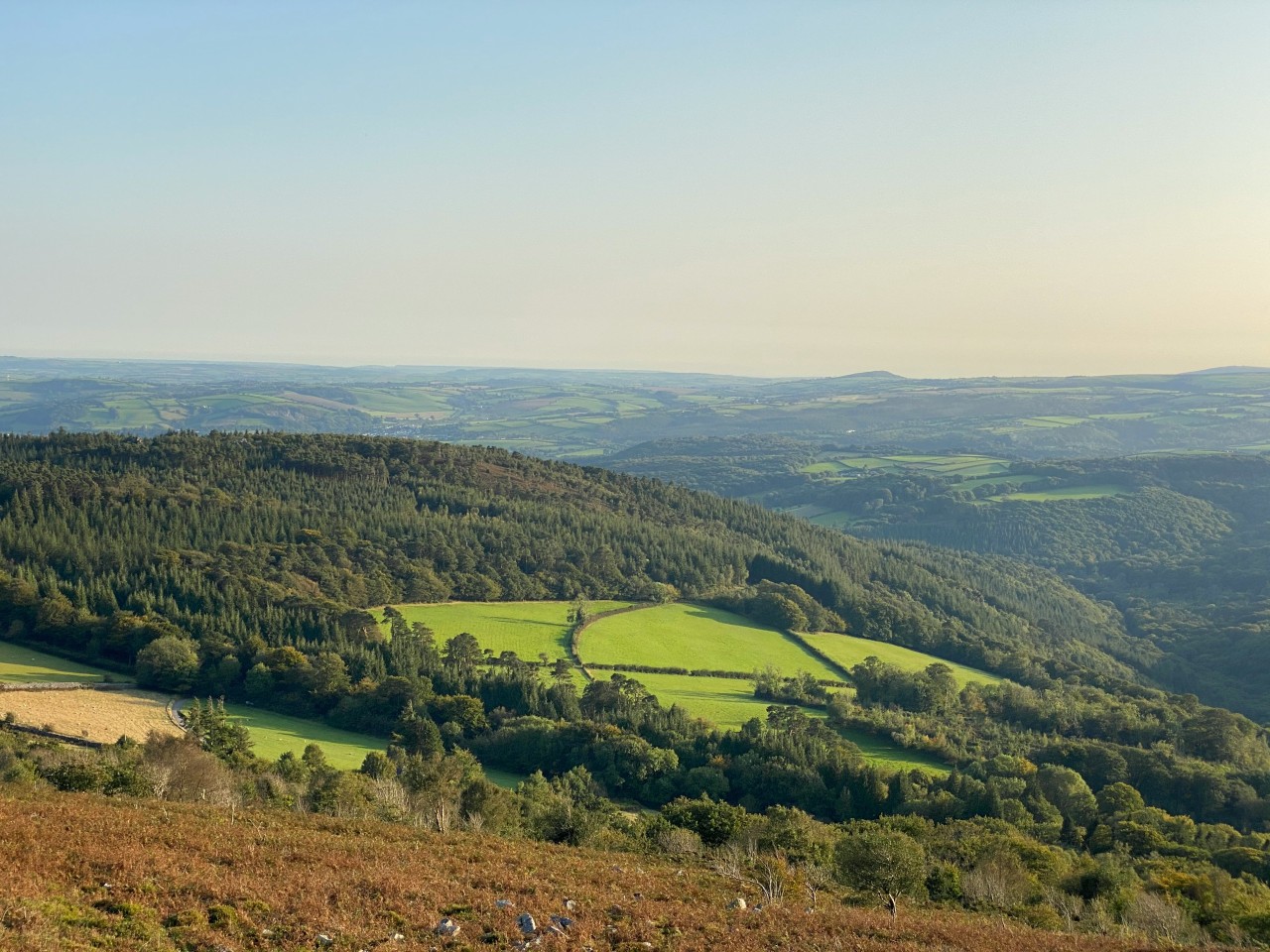 View over the river Dart (Jack French/Unsplash)