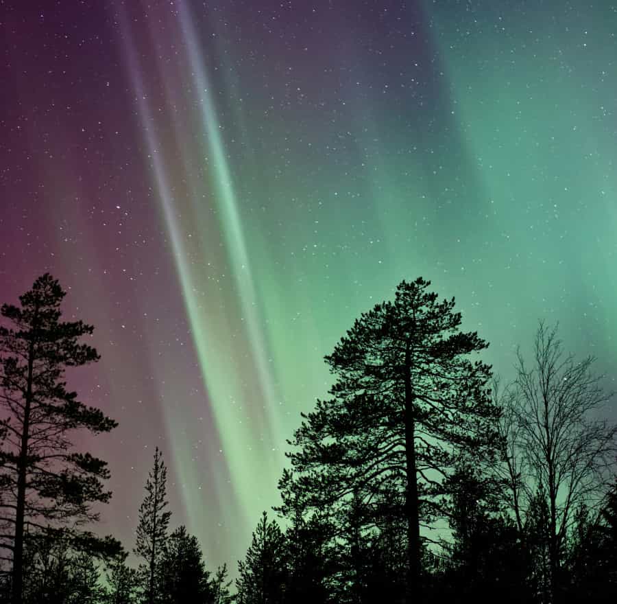The ethereal Aurora Borealis makes its appearance in the Cairngorms night sky (Vincent Guth/Unsplash)