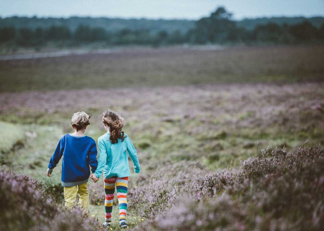 Kids walking across moorland clad in purple heather (Annie Spratt/Unsplash)