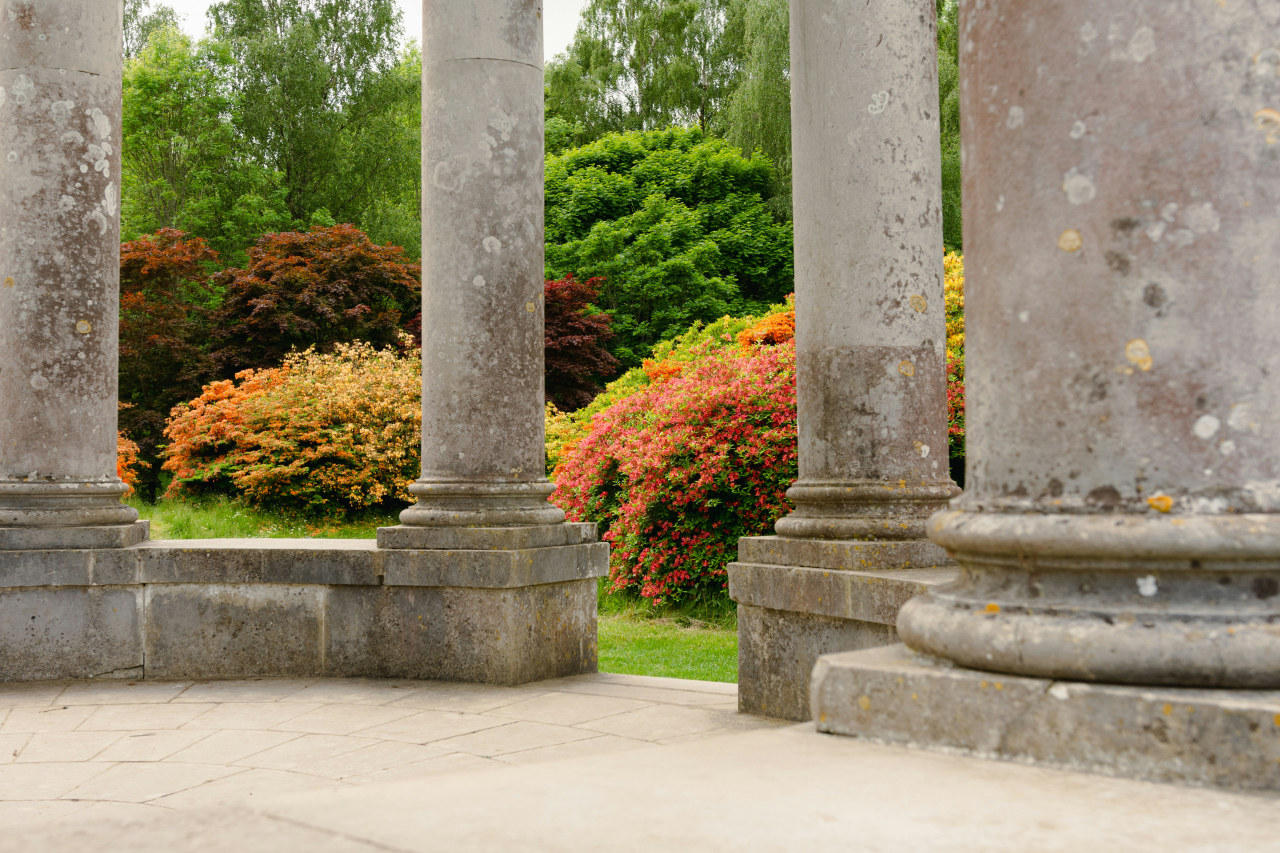 Pillars at Petworth (Paul Arky/Unsplash)