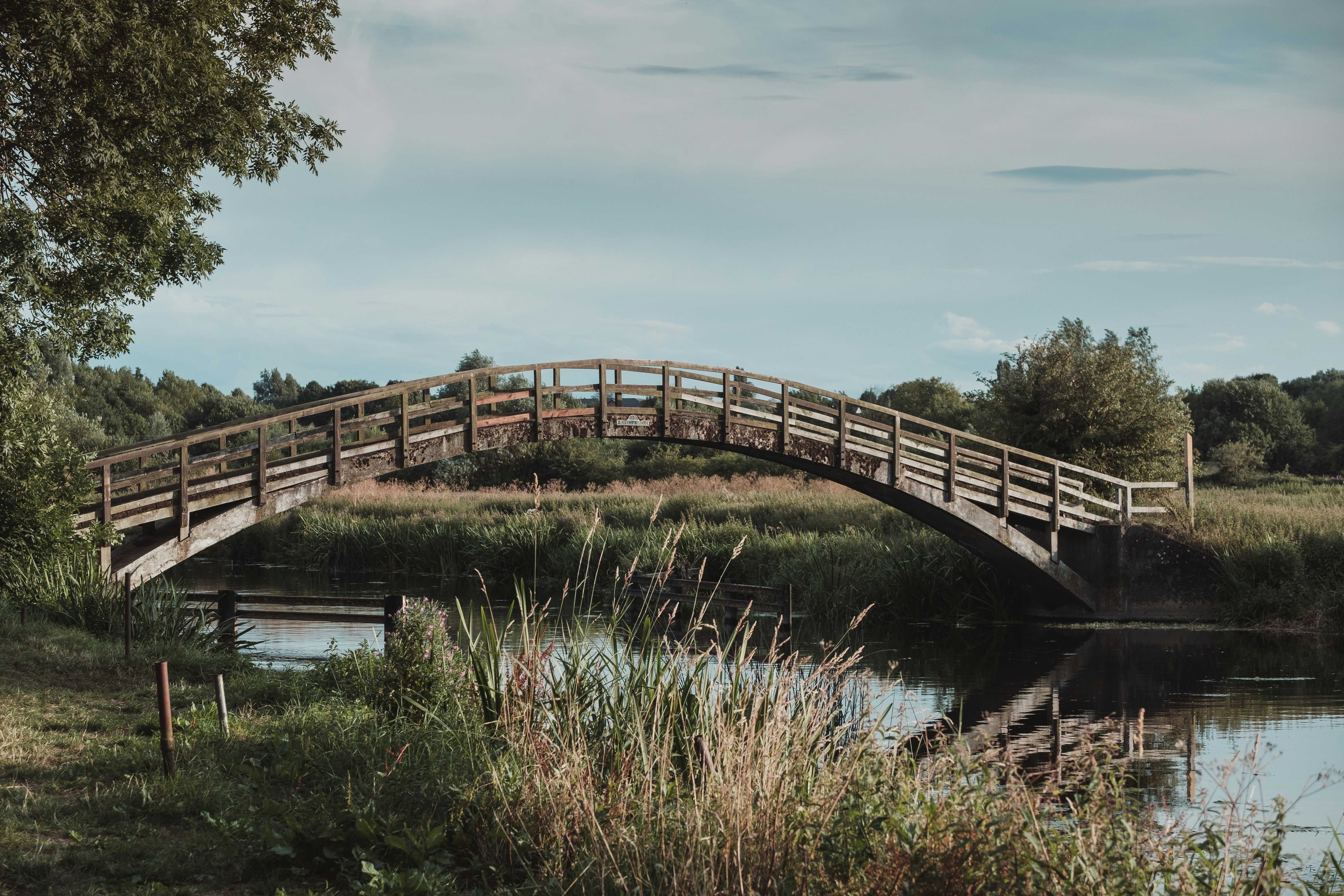 Get out into the open air at one of Leicestershire’s parks (Roger Bradshaw/Unsplash)