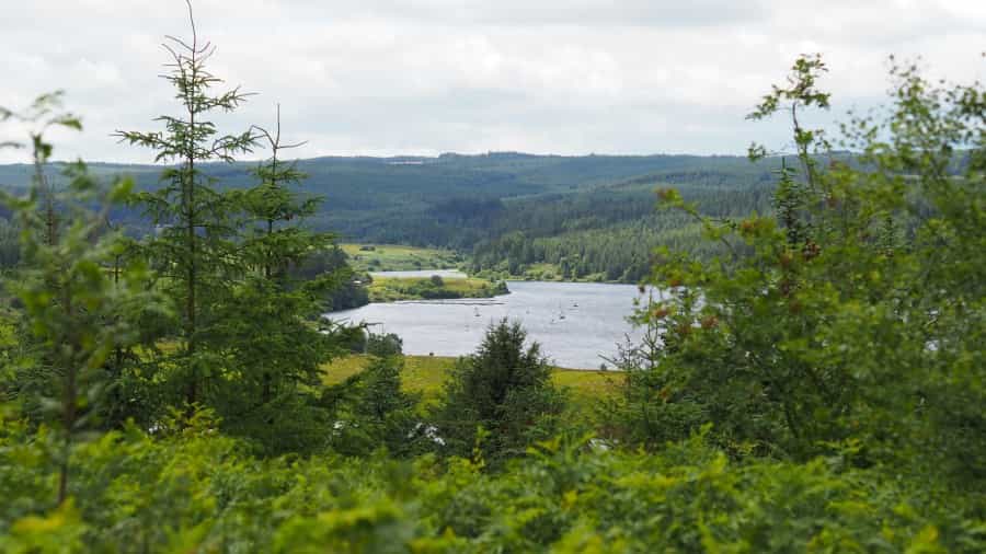 View of Kielder Water (Chris Talbot/Unsplash)