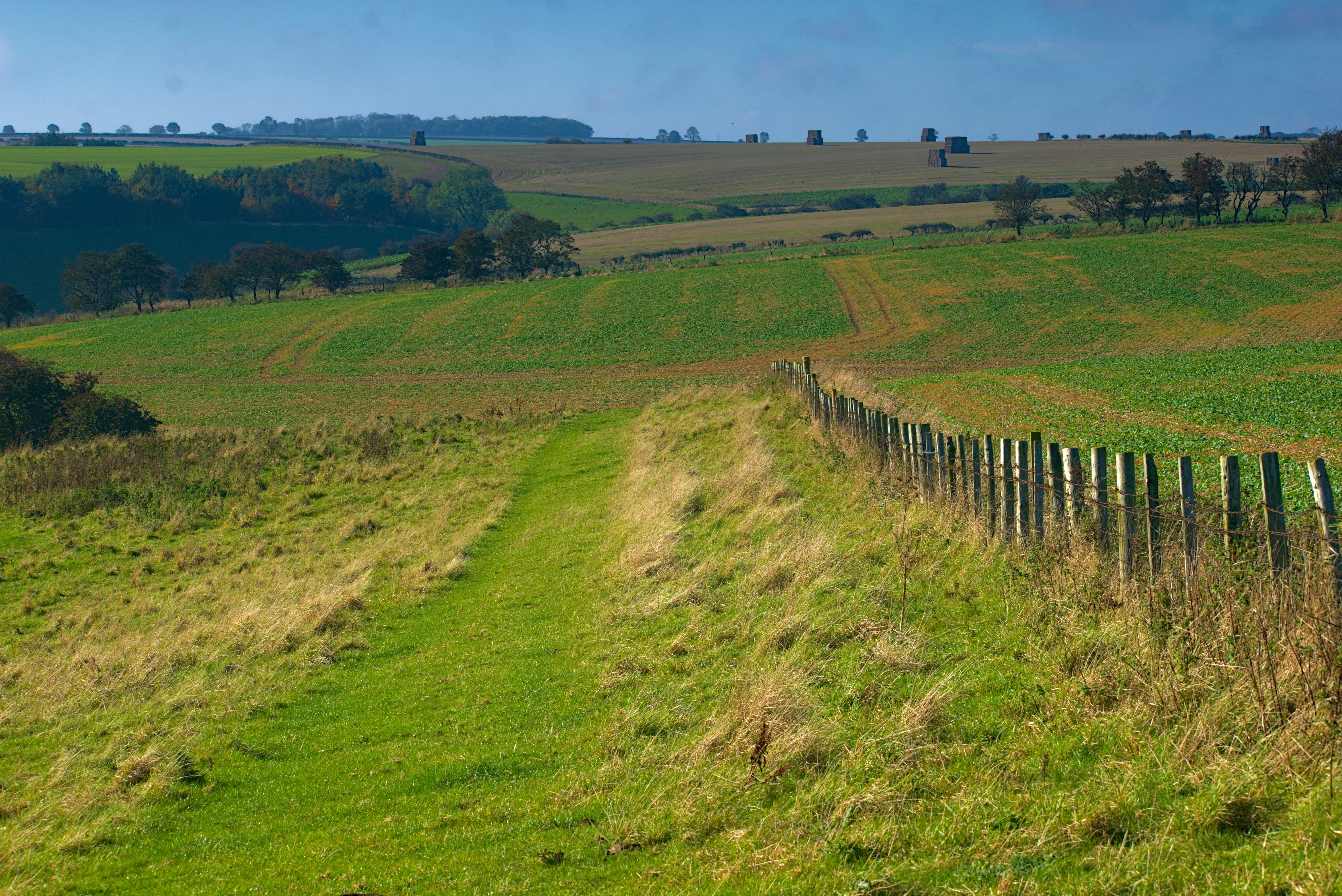 Undulating countryside above Thixendale on the Yorkshire Wolds Way (Martin Sepion/Unsplash)
