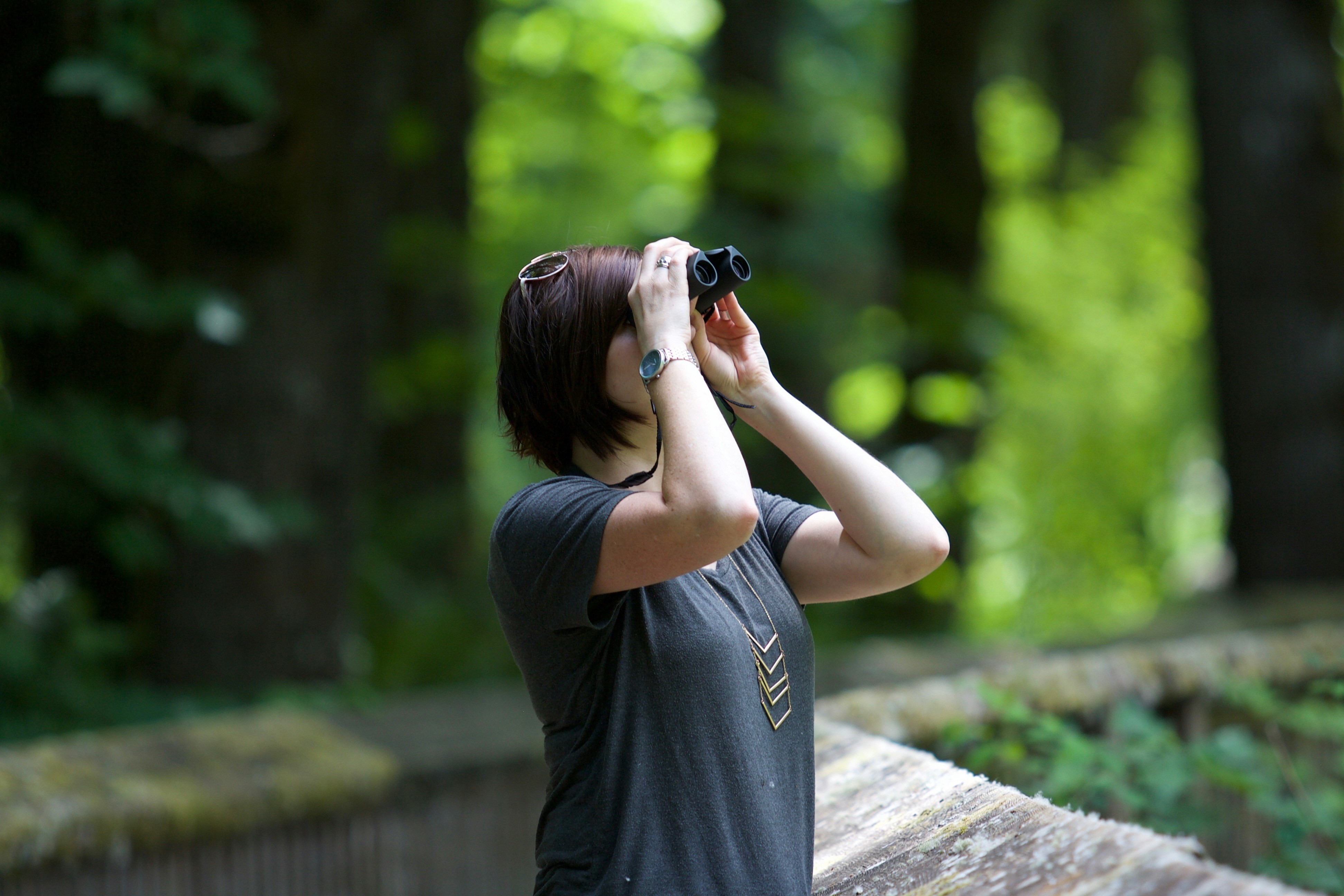 Don’t forget your binoculars when visiting Leicestershire’s country parks (Kayla Farmer/Unsplash)