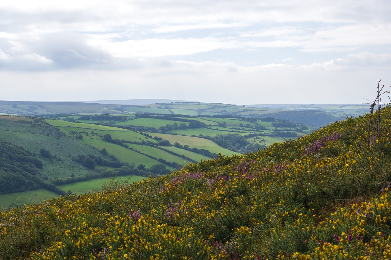 Hiking is a wonderful way to explore the landscapes of Exmoor (Julia Schwab/Pixabay)