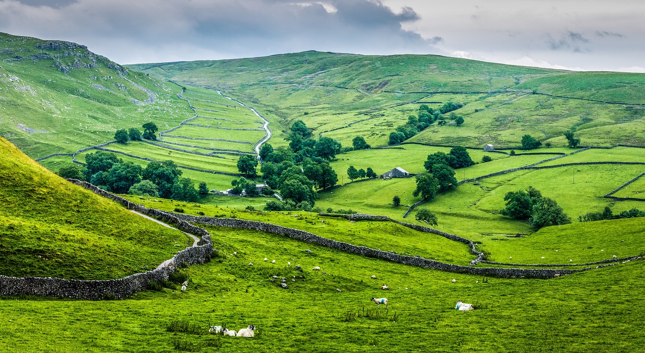 There are thousands of miles of dry-stone walls in the Yorkshire Dales National Park (Tim Hill/Pixabay)