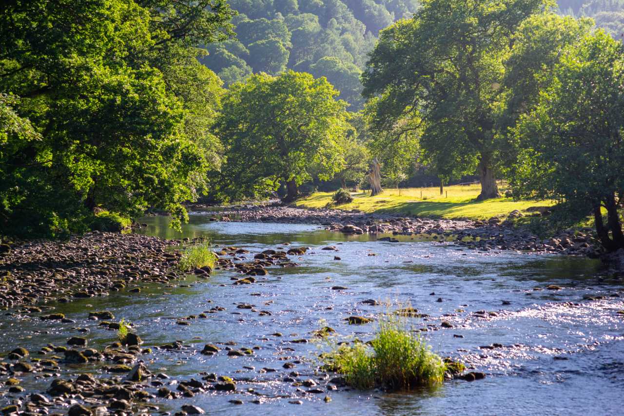 Countryside near Betws y Coed (Daniel Seßler/Unsplash)