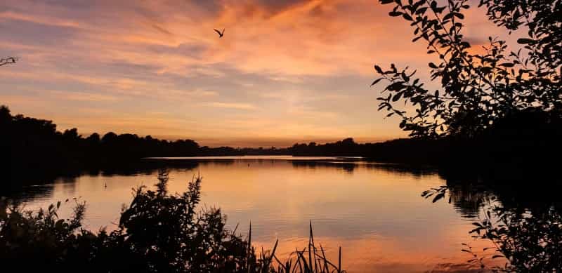 Whitlingham Great Broad at sunset