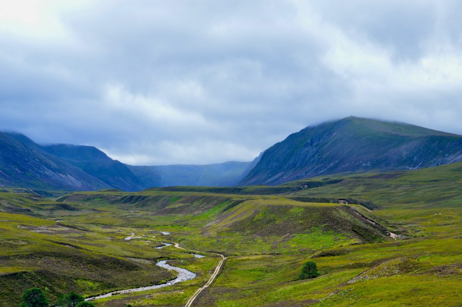 The Cairngorms (Ali Elliott/Unsplash)