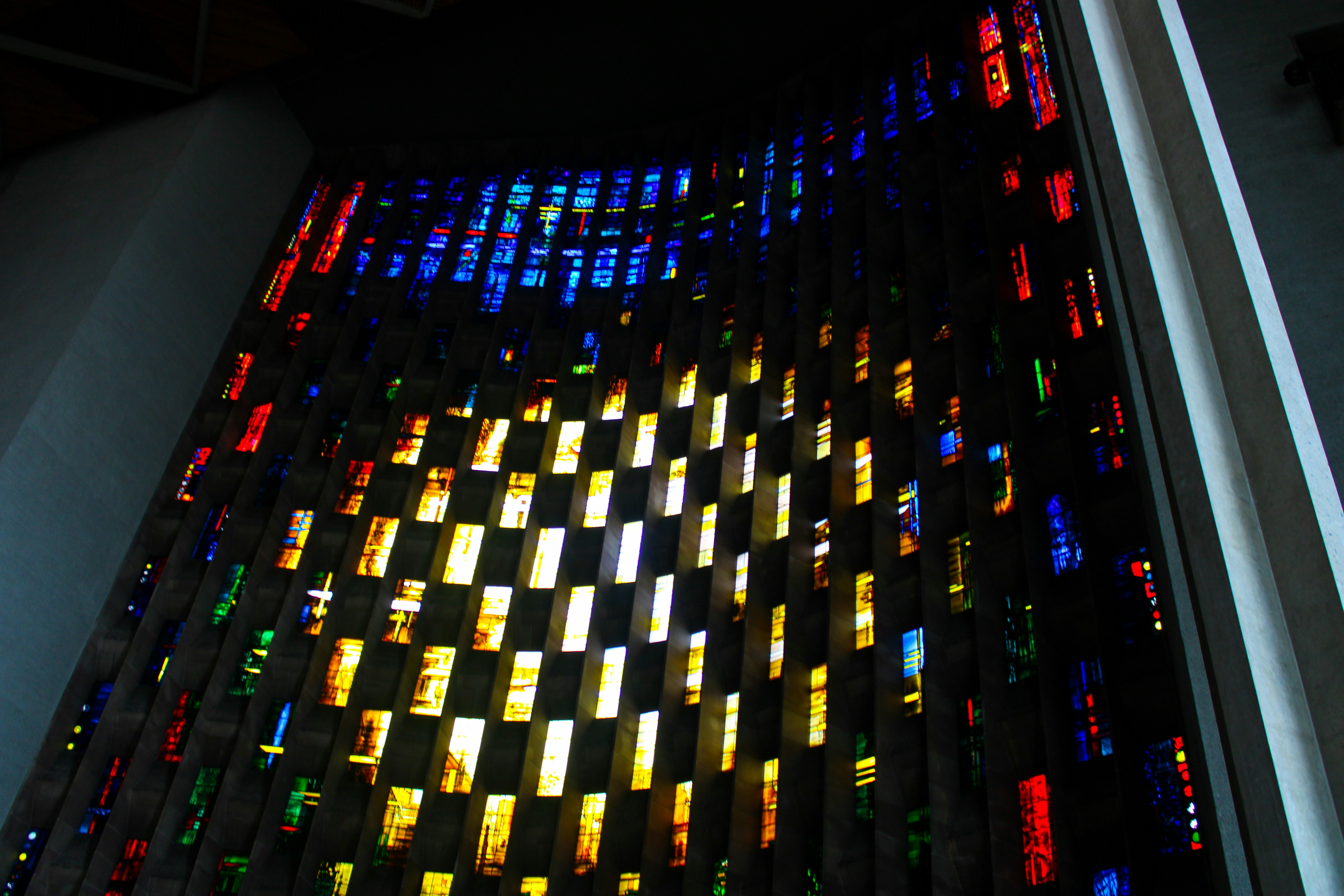 Look out for all sorts of colourful butterflies at Stratford Butterfly House (Phil Shotton/Unsplash)