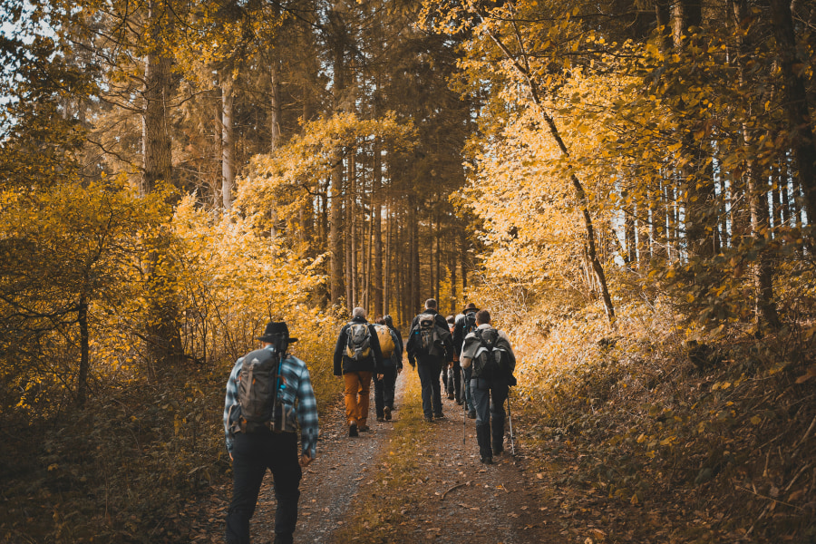 Joining a group hike is a sociable way to explore, and gives new insights into the area (Michel Stockman/Unsplash)
