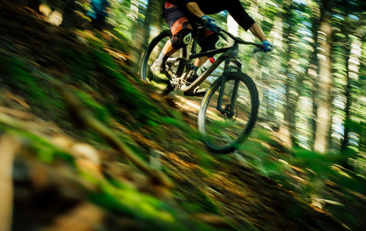 Mountain biking in the South Downs National Park (Tim Foster/Unsplash)