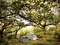 Camping sauvage