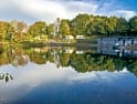 Campingplatser i Ashurst