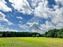 Campingplatser i East Meon