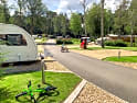 Campings Ascot